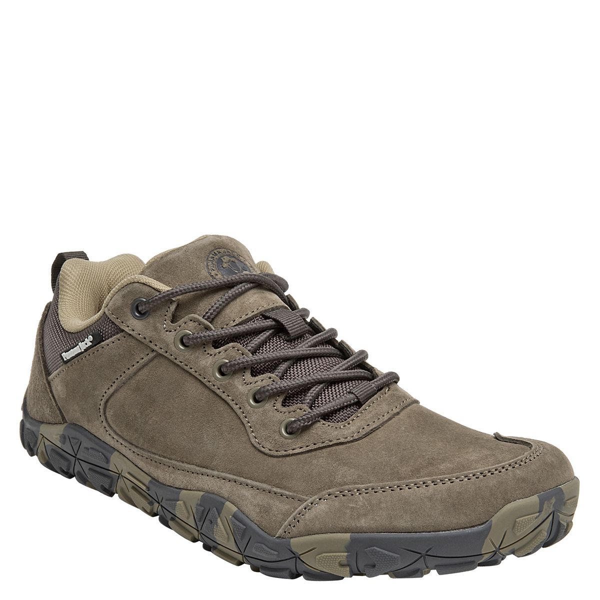 PANAMA JACK - Zapatilla Casual Hombre Verde Panama Jack