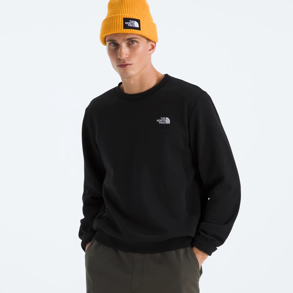 THE NORTH FACE - Poleron Evo Simple Dome Crew Hombre Negro