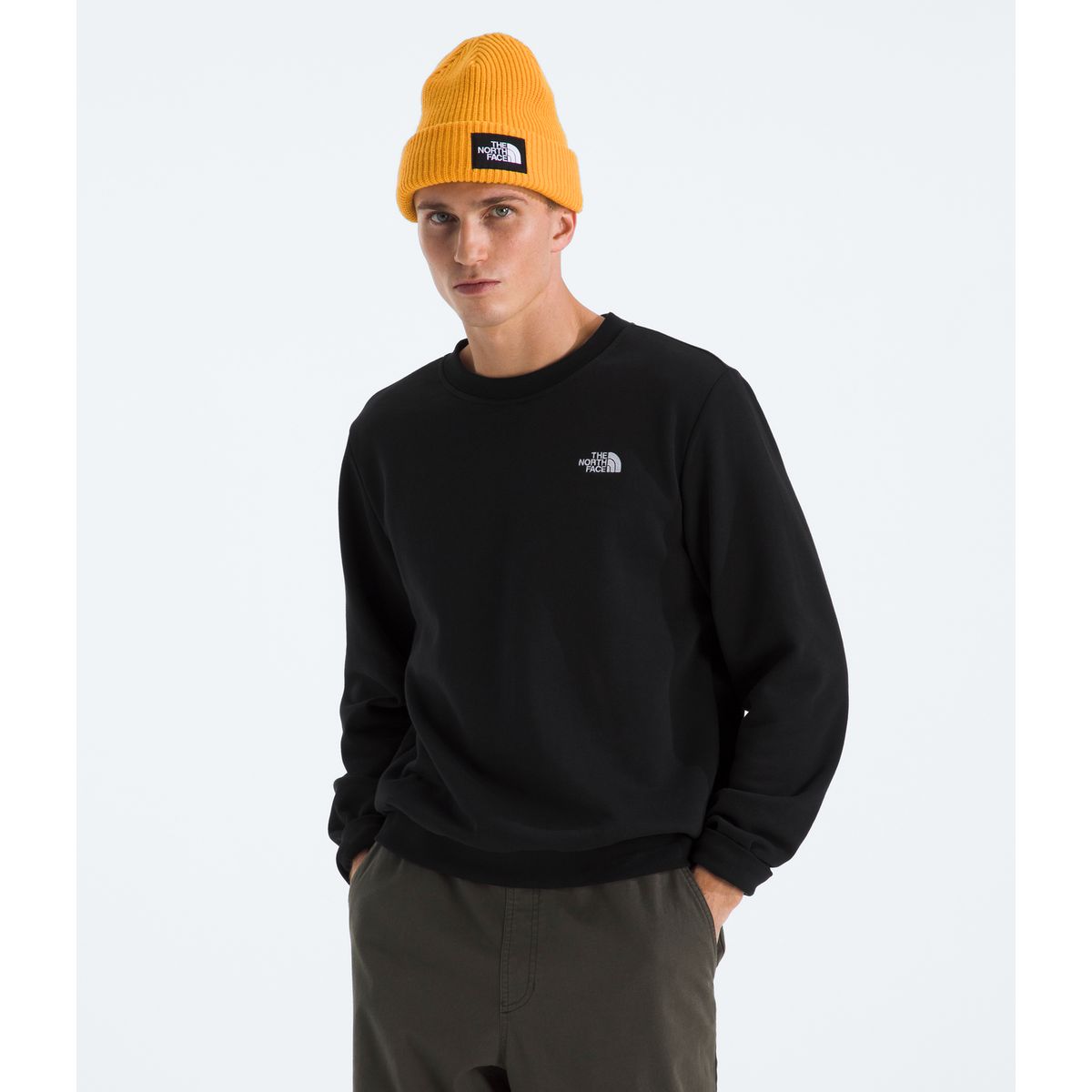 THE NORTH FACE - Poleron Evo Simple Dome Crew Hombre Negro