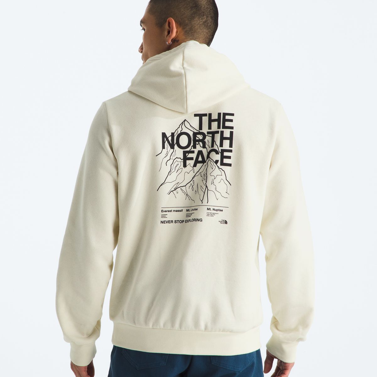 THE NORTH FACE - Poleron Evo Half Dome Mtn Hoodie- Graphic Hombre Blanco Invierno