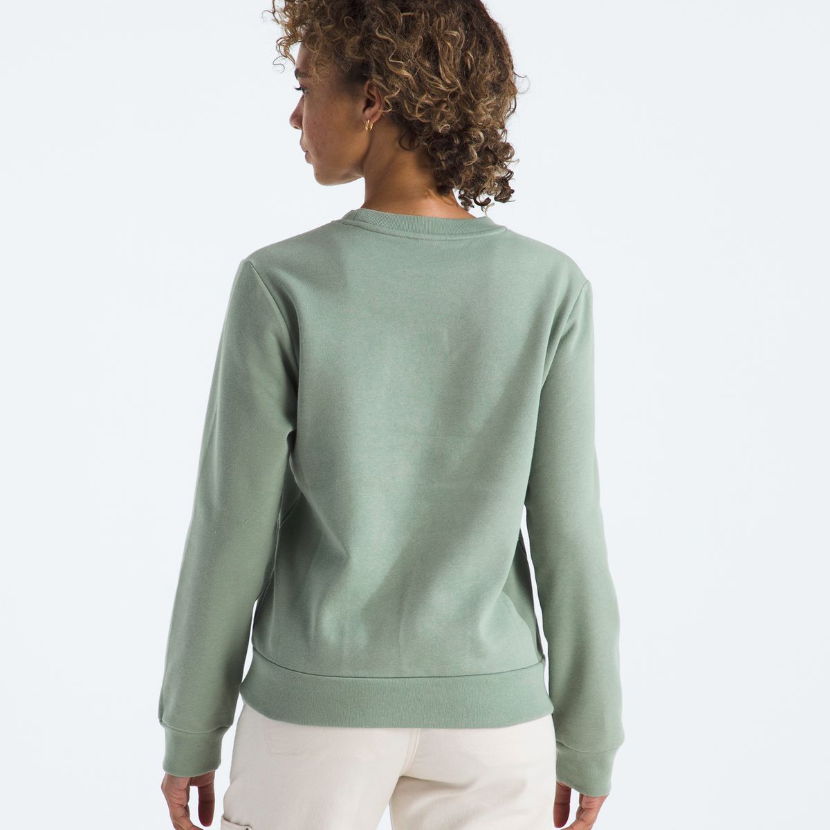 THE NORTH FACE - Poleron Evo Simple Dome Crew Mujer Verde Claro