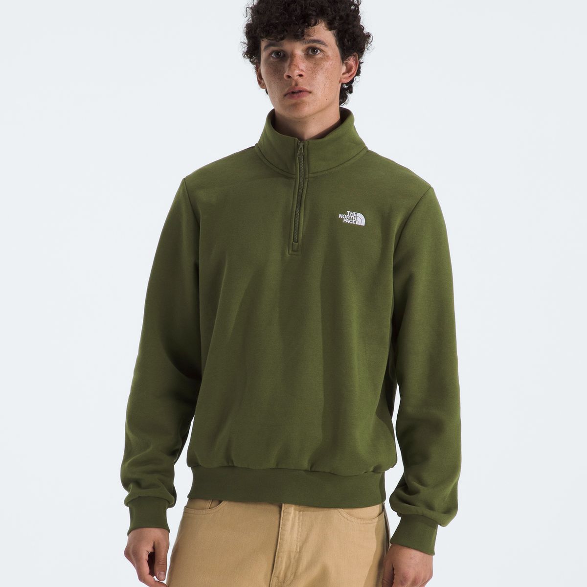 THE NORTH FACE - Poleron Evo Simple Dome 1/4 Zip Hombre Verde