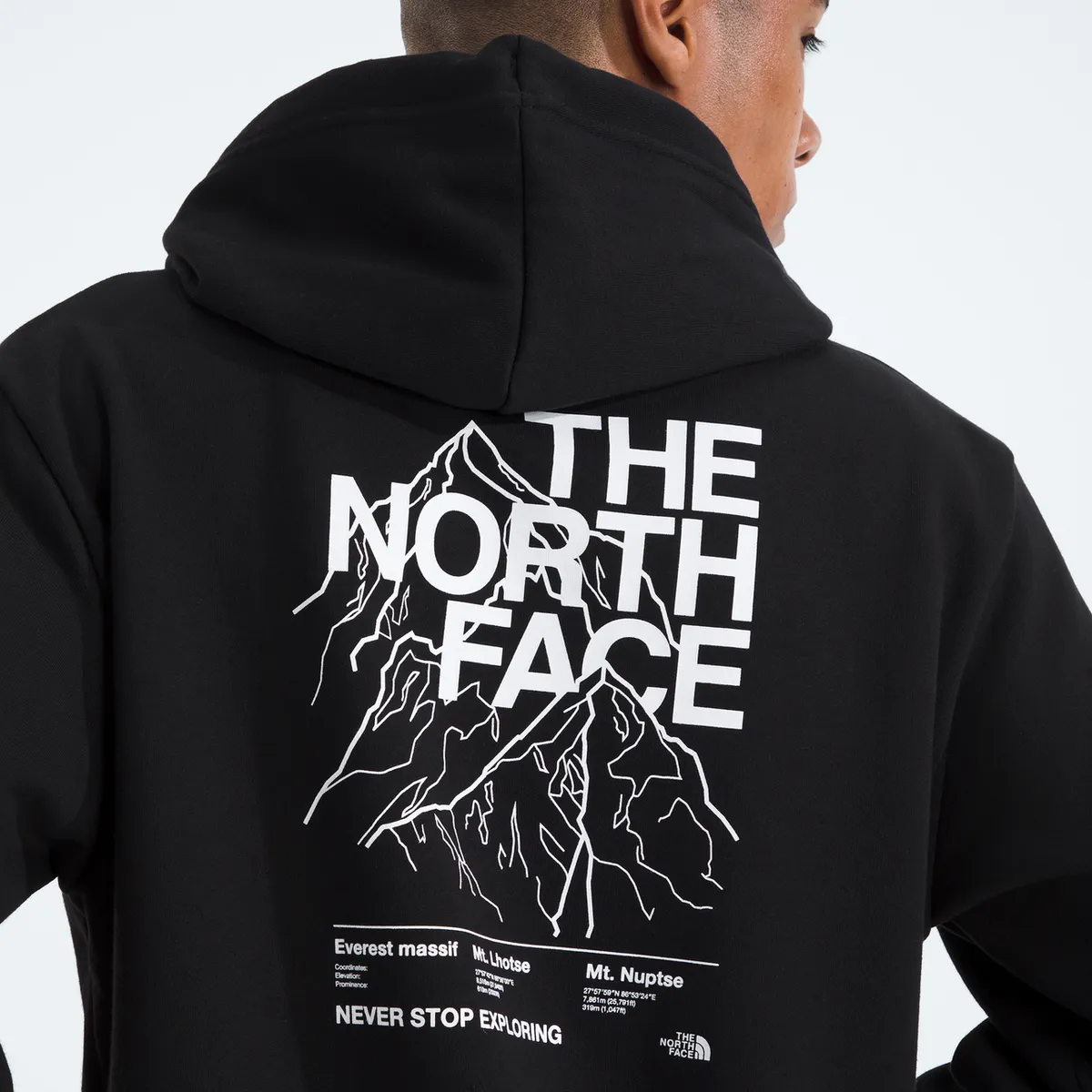 THE NORTH FACE - Poleron Evo Half Dome Mtn Hoodie- Graphic Hombre Negro