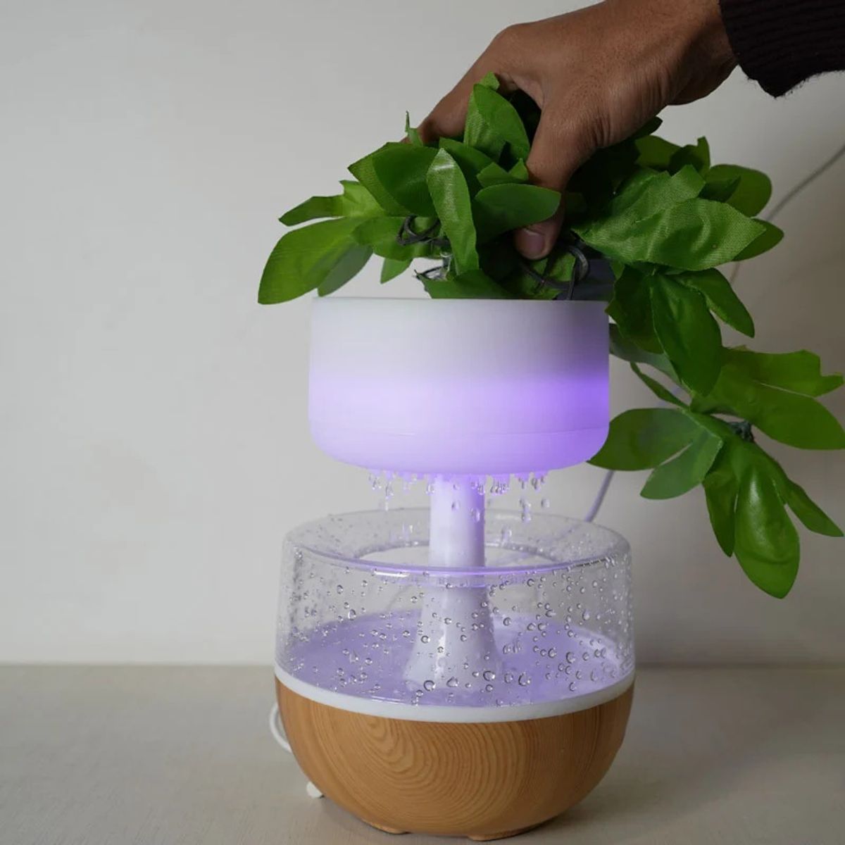 GENERICO - Humidificador y difusor de aromas diseño Nube de Lluvia con Planta
