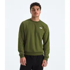 THE NORTH FACE - Poleron Evo Simple Dome Crew Hombre Verde