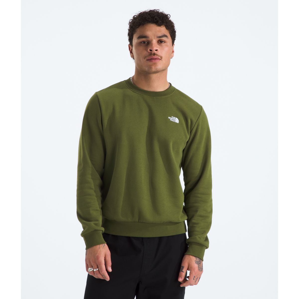 THE NORTH FACE - Poleron Evo Simple Dome Crew Hombre Verde