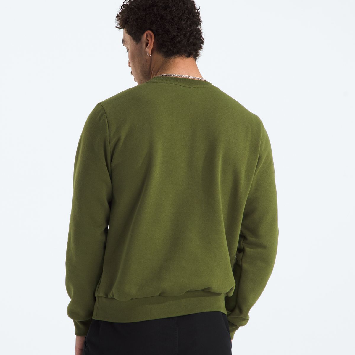 THE NORTH FACE - Poleron Evo Simple Dome Crew Hombre Verde