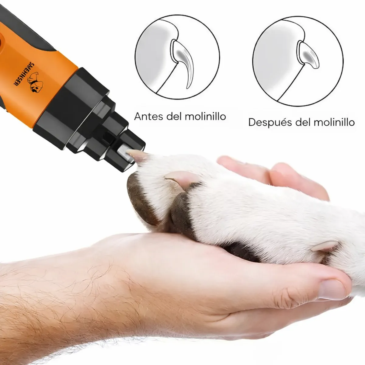 GENERICO - Limador Uñas Perro Silencioso  Doble Luz Led Blanco