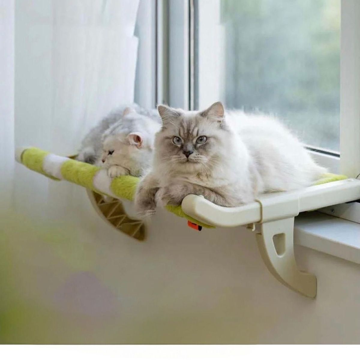 GENERICO - Cama Colgante Para Gatos Hamaca Para Ventana Sofá Gatos