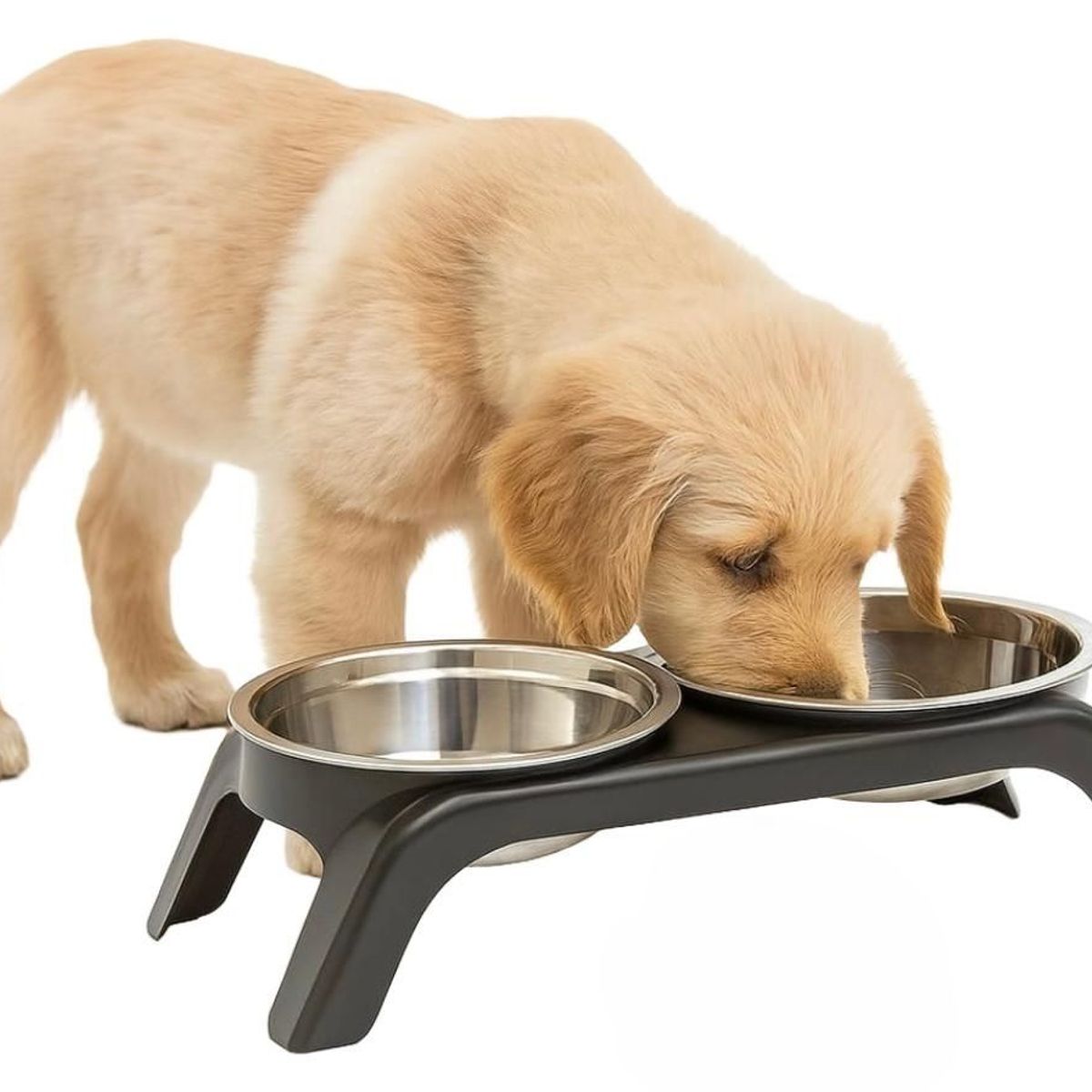 GENERICO - Cuenco Elevado Doble Para Gato Perro Acero Inoxidable