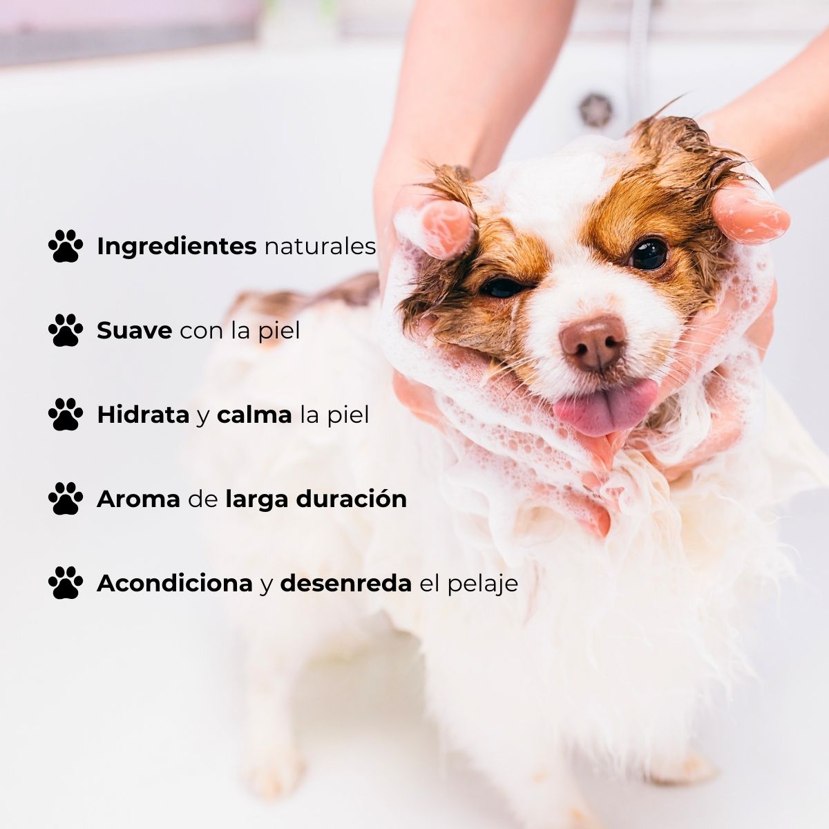GENERICO - Acondicionador Mascotas Suave Baby Fresh Bugalugs