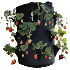 GENERICO - Huerto Colgante Geotextil Frutillas Aji