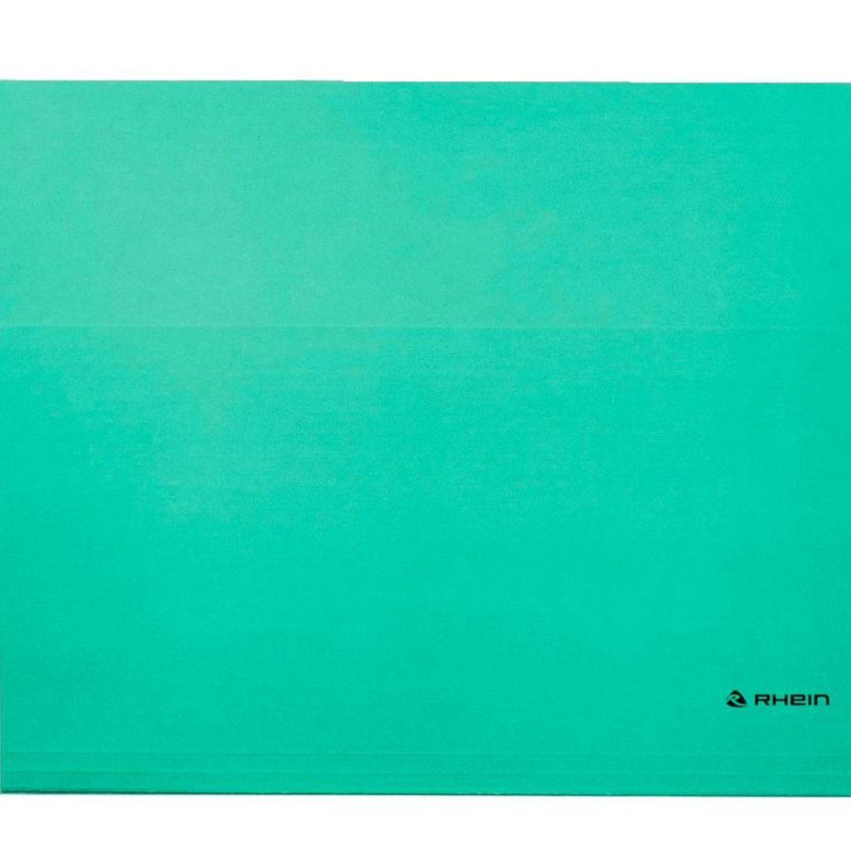 RHEIN - Pack 25 Carpeta Colgante Cartulina Oficio Verde Rhein