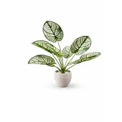 GENERICO - Planta artificial 43cm mas macetero blanco