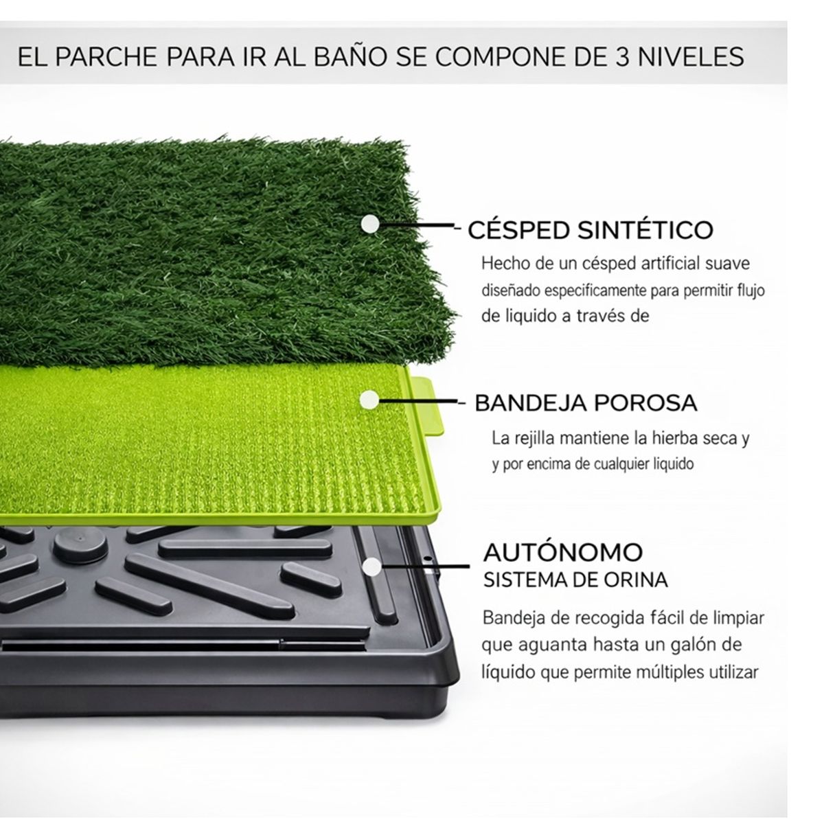 MOVI - Baño para Mascotas XXL Pet Potty