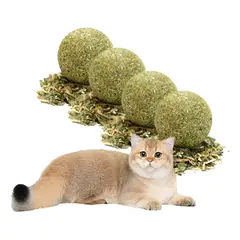 GENERICO - X4 Bola Catnip Para Gatos Juguetes De Gato Snack Para Gatos X4 Catnip Verde X-313