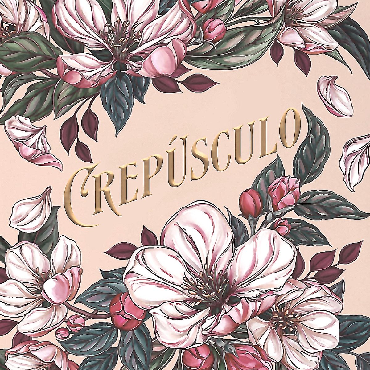 ALFAGUARA - Libro Crepúsculo (ed. especial 20º aniv) - Stephenie Meyer