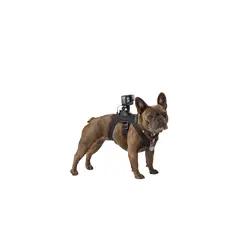 GOPRO - Chesty Arnés Soporte Adogm-001 Para Perros
