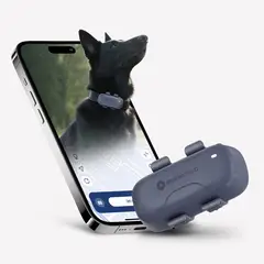 GENERICO - Collar SeeWorld Gps Rastreador Para Perro Gato Alerta Tiempo Real 4G Subcripcion