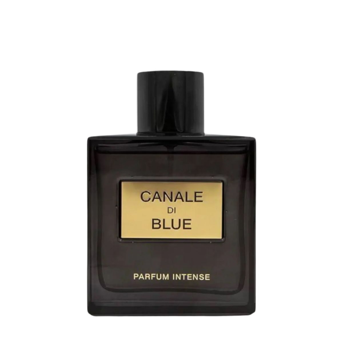 FRENCH AVENUE - Canale de Blue Intense New Parfum Fr by Fragrance World  EDP 3.4 fl oz  100 ml