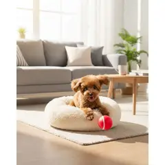 GENERICO - Cama para Mascotas Resistente Calidad Y Máximo Confort 70 cm