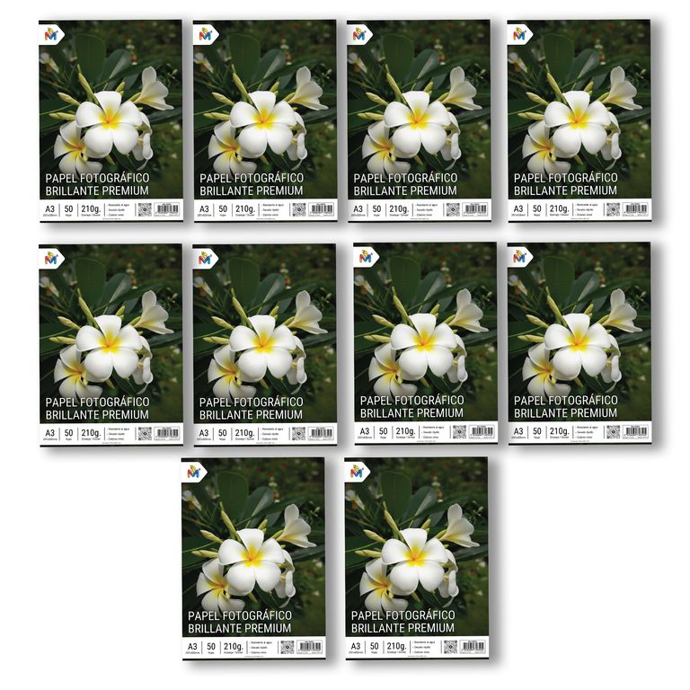 10 Unidades Papel Foto A3 - 500 Hojas Alta Densidad 210g