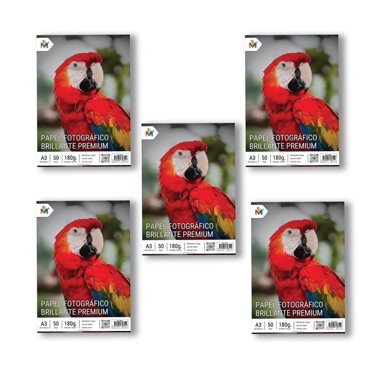 5x Papel Fotografico A3 180g - 250 Hojas Gran Formato Pro