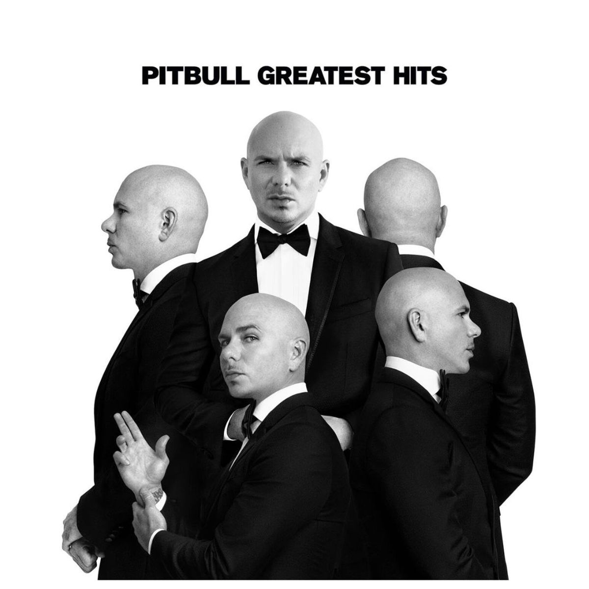 GENERICO - PITBULL - GREATEST HITS / VINILO