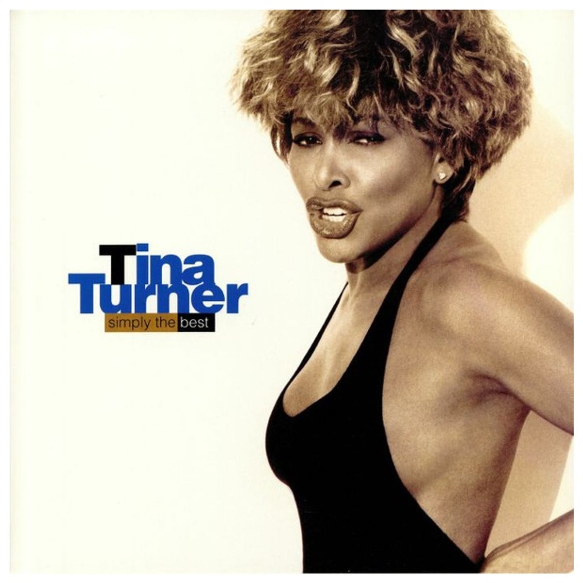 GENERICO - TINA TURNER - SIMPLY THE BEST (2LP) / VINILO