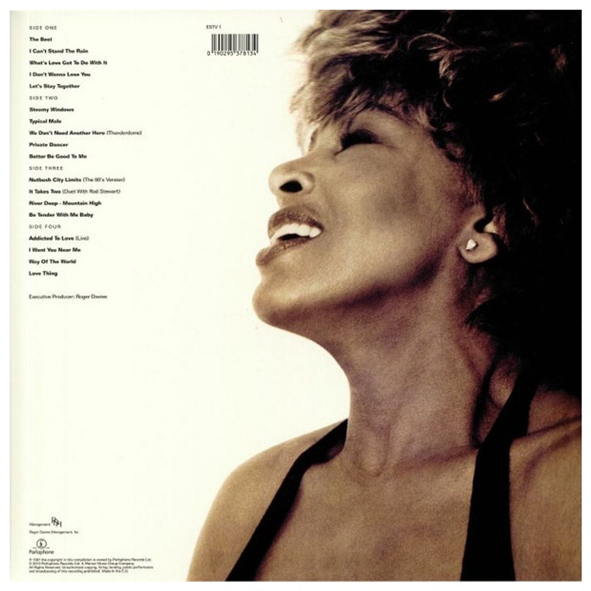 GENERICO - TINA TURNER - SIMPLY THE BEST (2LP) / VINILO