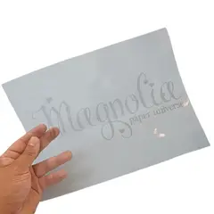 GENERICO - Mica Imprimible Laser Transparente 10un 100micrones Carta