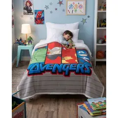 GENERICO - FRAZADAS POLAR SHERPA PLAZA Y MEDIA