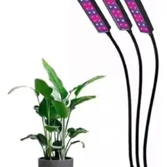 GENERICO - Lámpara para cultivo interior Genérica 3 tubos potencia de 27W voltaje de color de la luz violeta