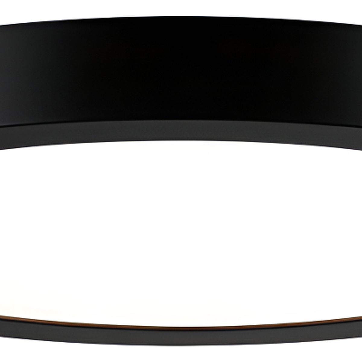 GENERICO - Foco Panel Led 24w Plafón Redondo 30cm Sobrepuesto Negro Luz Fría 6000k Demasled