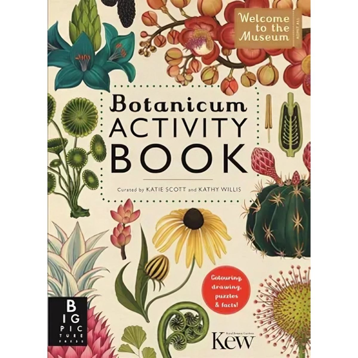 TOP10BOOKS - LIBRO Botanicum - KATIE SCOTT; KATHY WILLIS