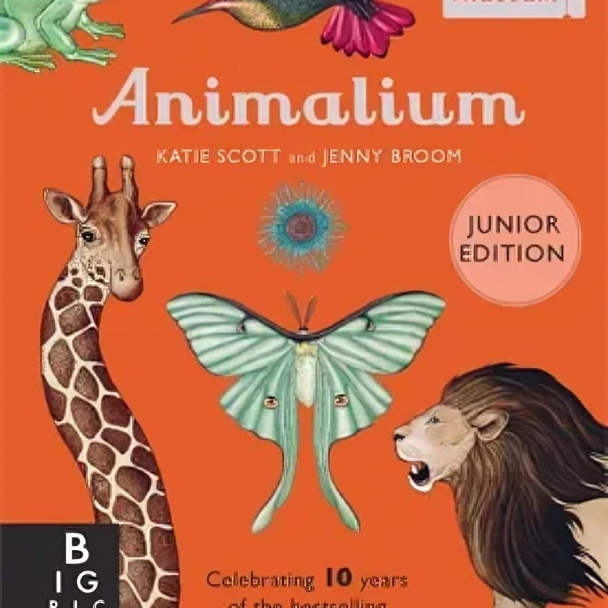 TOP10BOOKS - LIBRO Animalium - Junior Edition - JENNY BROOM