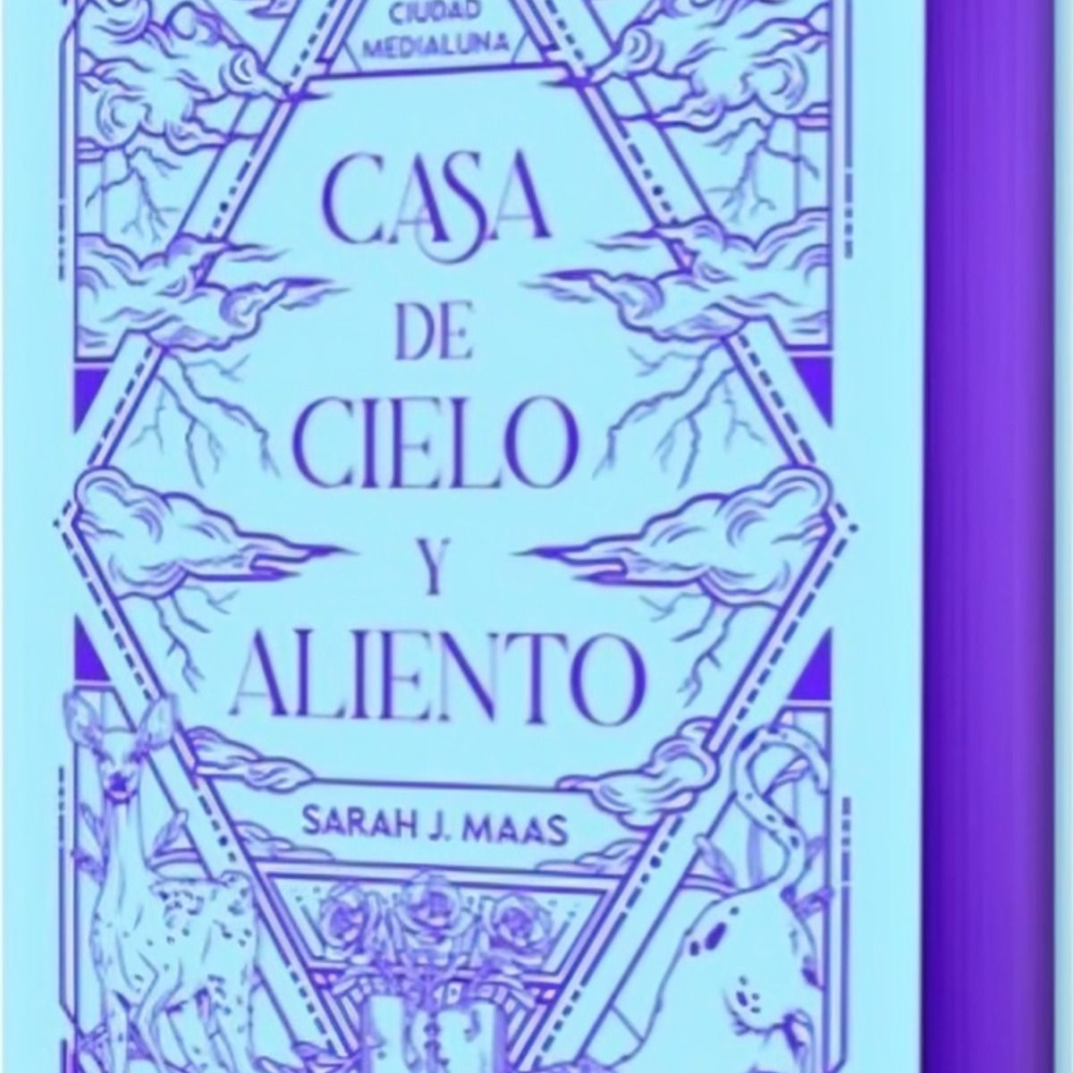 TOP10BOOKS - LIBRO Casa De Cielo Y Aliento (edición Especial Limitada) (ciudad Medialuna 2)