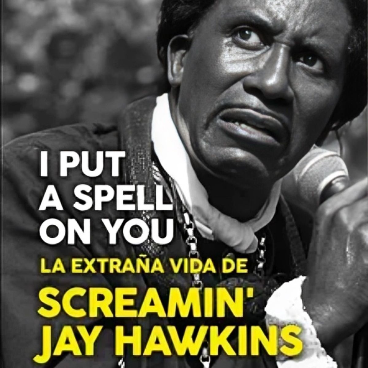 TOP10BOOKS - LIBRO I Put A Spell On You - STEVE BERGSMAN