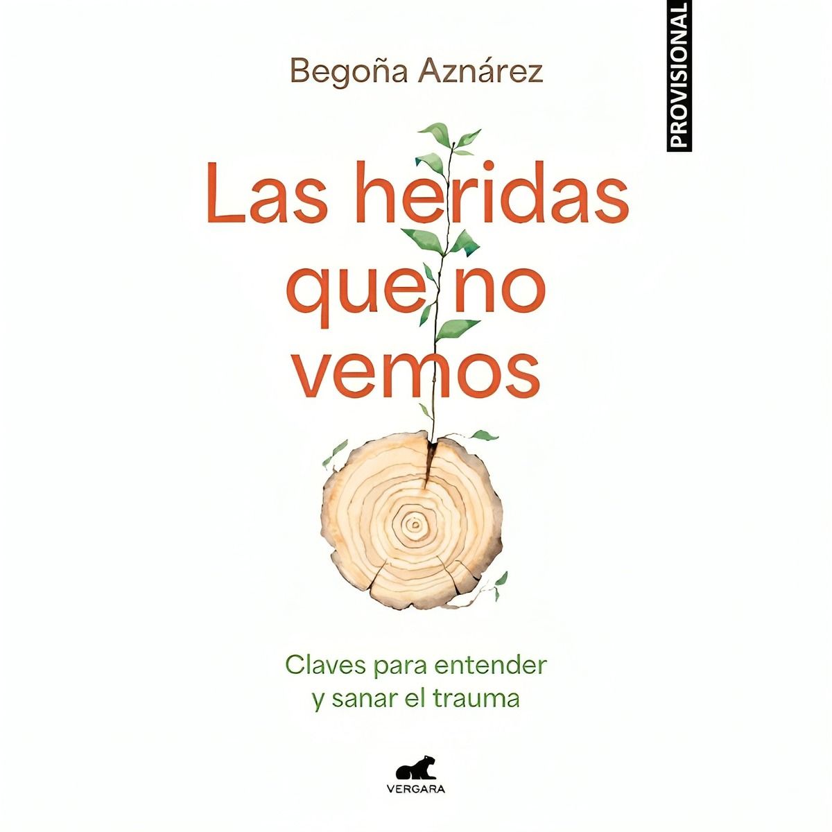 TOP10BOOKS - LIBRO Las Heridas Que No Vemos - BEGOÑA AZNÁREZ