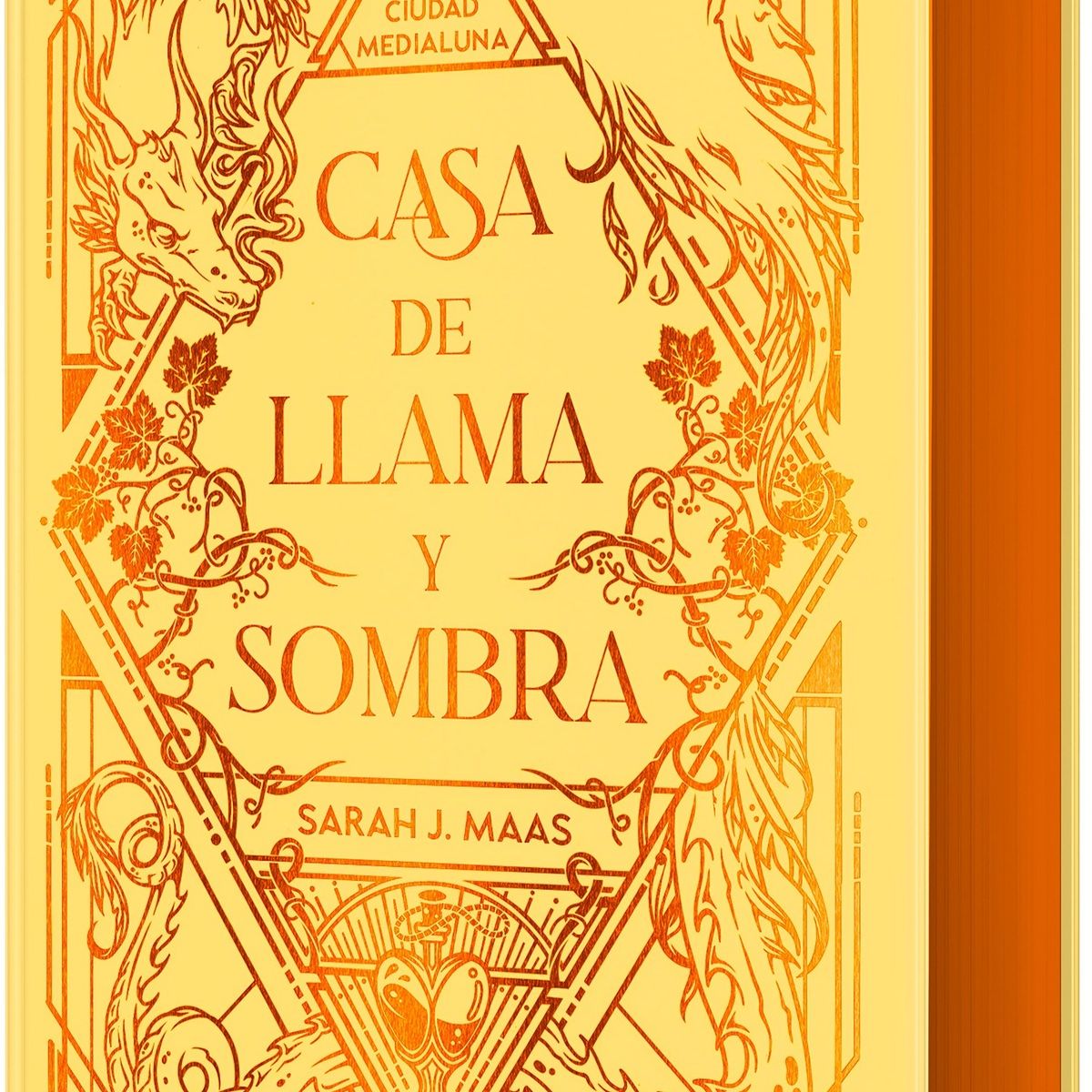 TOP10BOOKS - LIBRO Casa De Llama Y Sombra (edición Especial Limitada) (ciudad Medialuna 3)