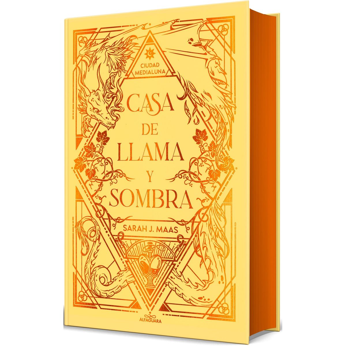 TOP10BOOKS - LIBRO Casa De Llama Y Sombra (edición Especial Limitada) (ciudad Medialuna 3)