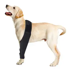 ATURE - Rodillera Ortopédica Perro Soporte Pierna Recuperación M