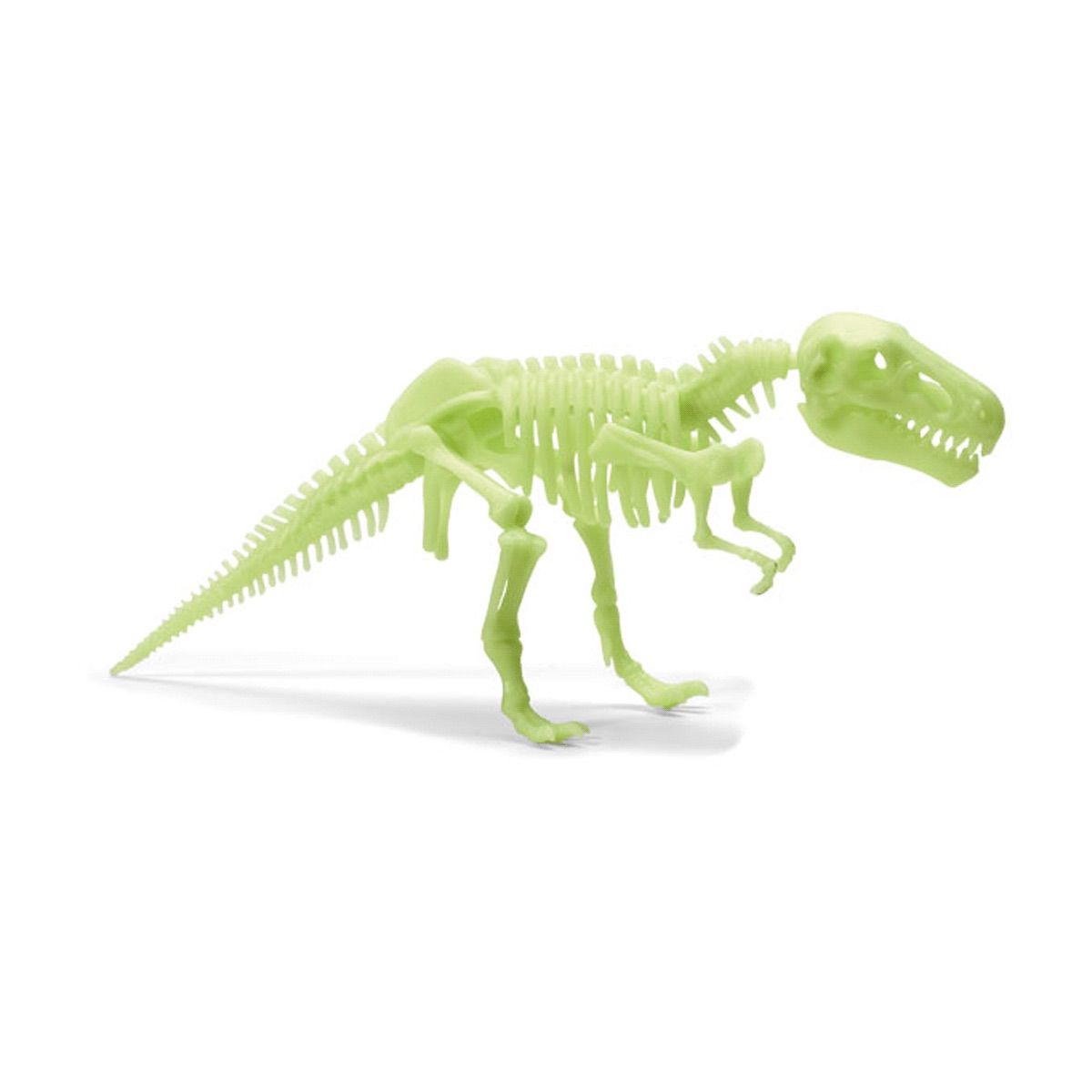 GENERICO - Esqueleto Dinosaurio T-Rex Luminoso Brainstorm