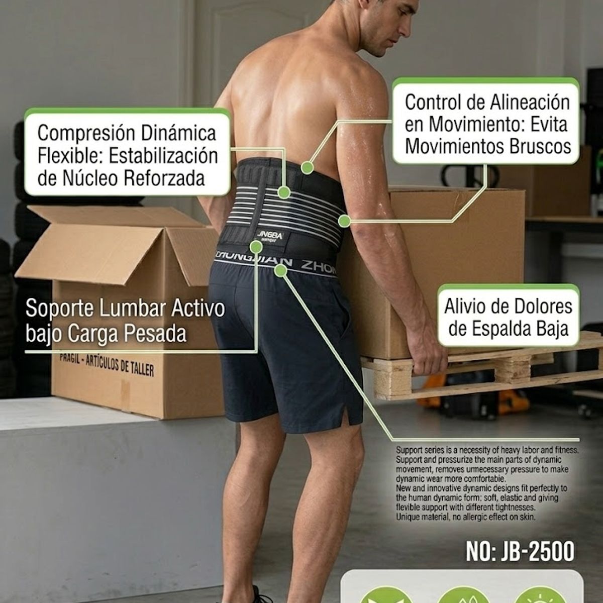 GENERICO - Soporte Lumbar Profesional INGBA  Faja de Compresión y Estabilidad