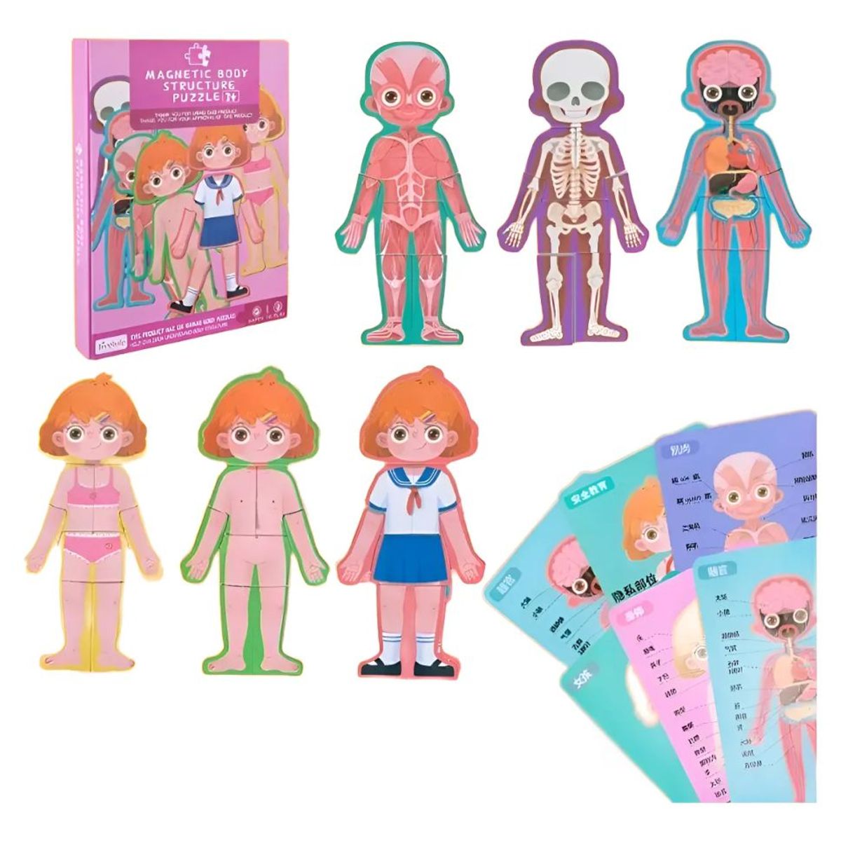 GENERICO - Rompecabezas Del Cuerpo Humano Niña Didactico