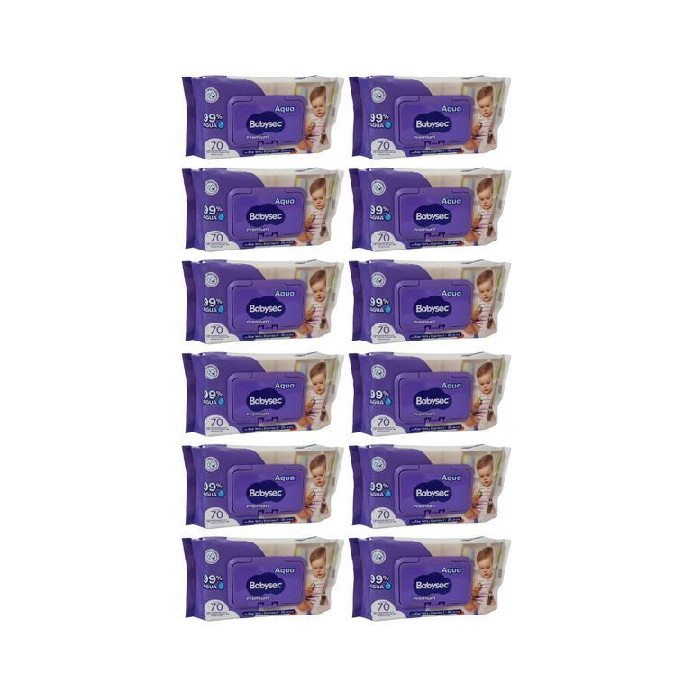 Pack 12 Toallitas Humedas Hipoalergenicas Aloe Vera 70 Unidades c/u , 840 Toallitas,