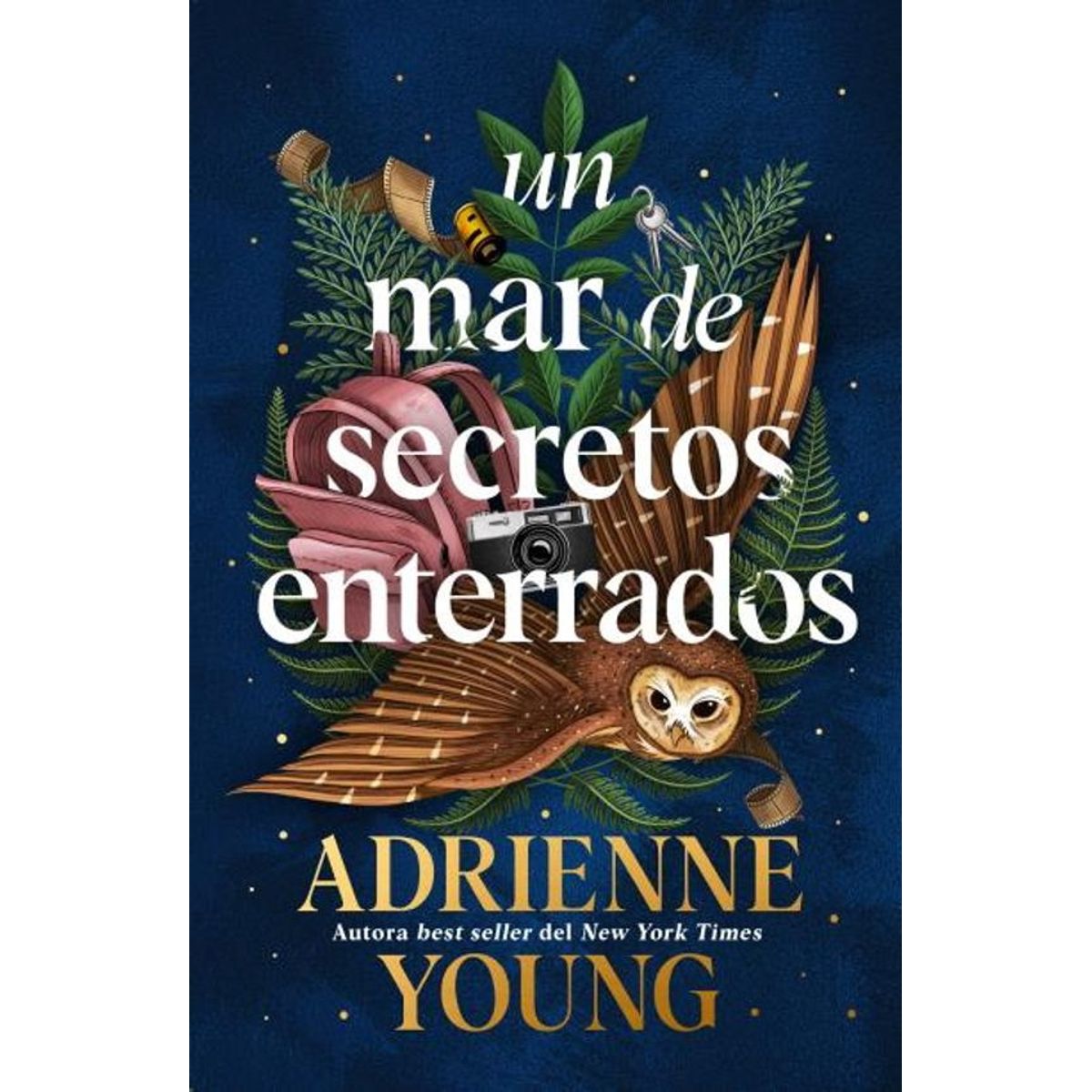 ANTARTICA LIBROS - Un Mar De Secretos Enterrados