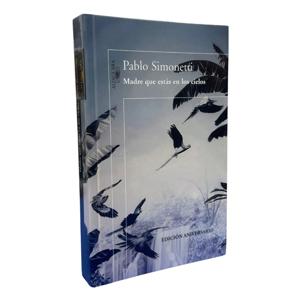 PENGUIN RANDOM HOUSE - MADRE QUE ESTÁS EN LOS CIELOS - PABLO SIMONETTI