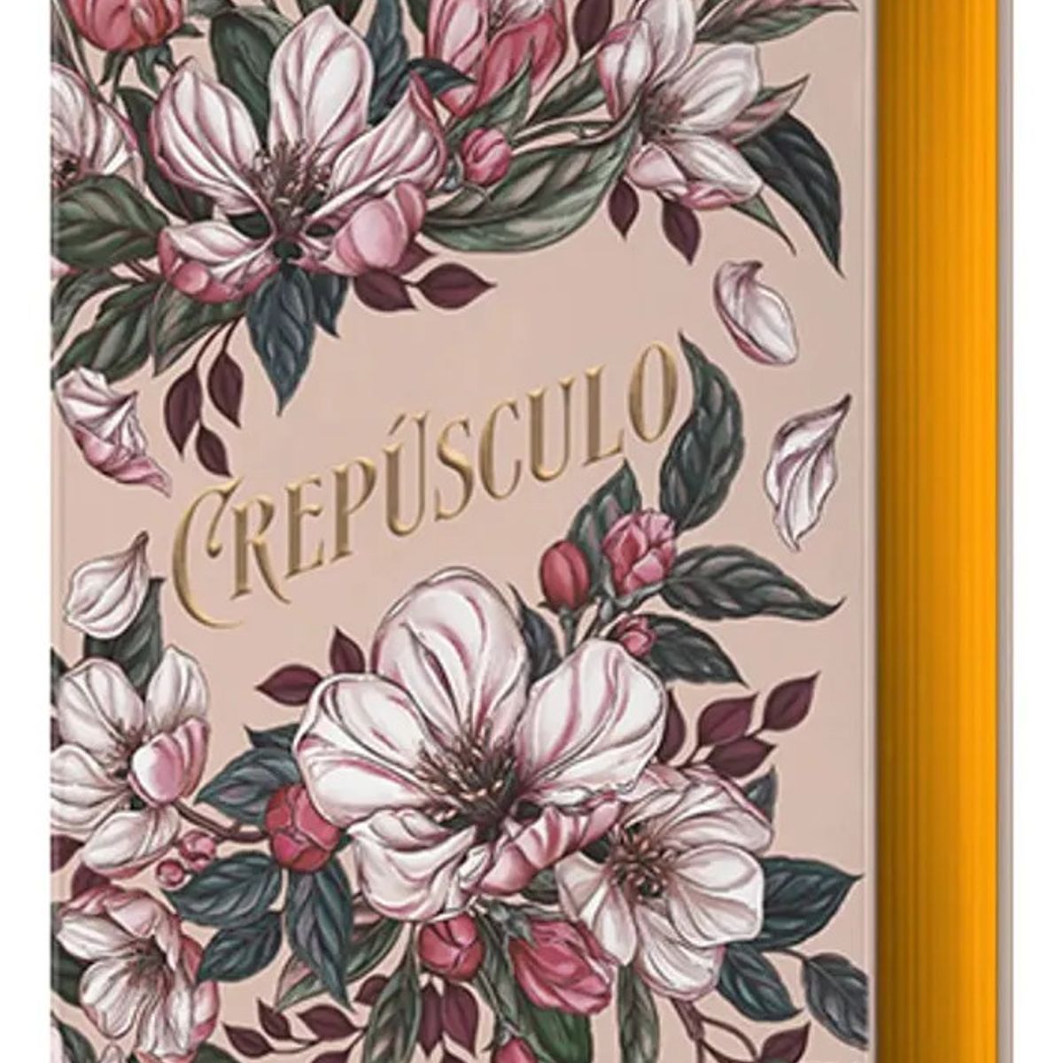 ALFAGUARA - CREPÚSCULO - STEPHENIE MEYER  EDICIÓN ESPECIAL LIMITADA