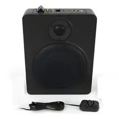 GENERICO - Subwoofer Plano Amplificador Parlante 800w + Control Volumen Negro - 213234